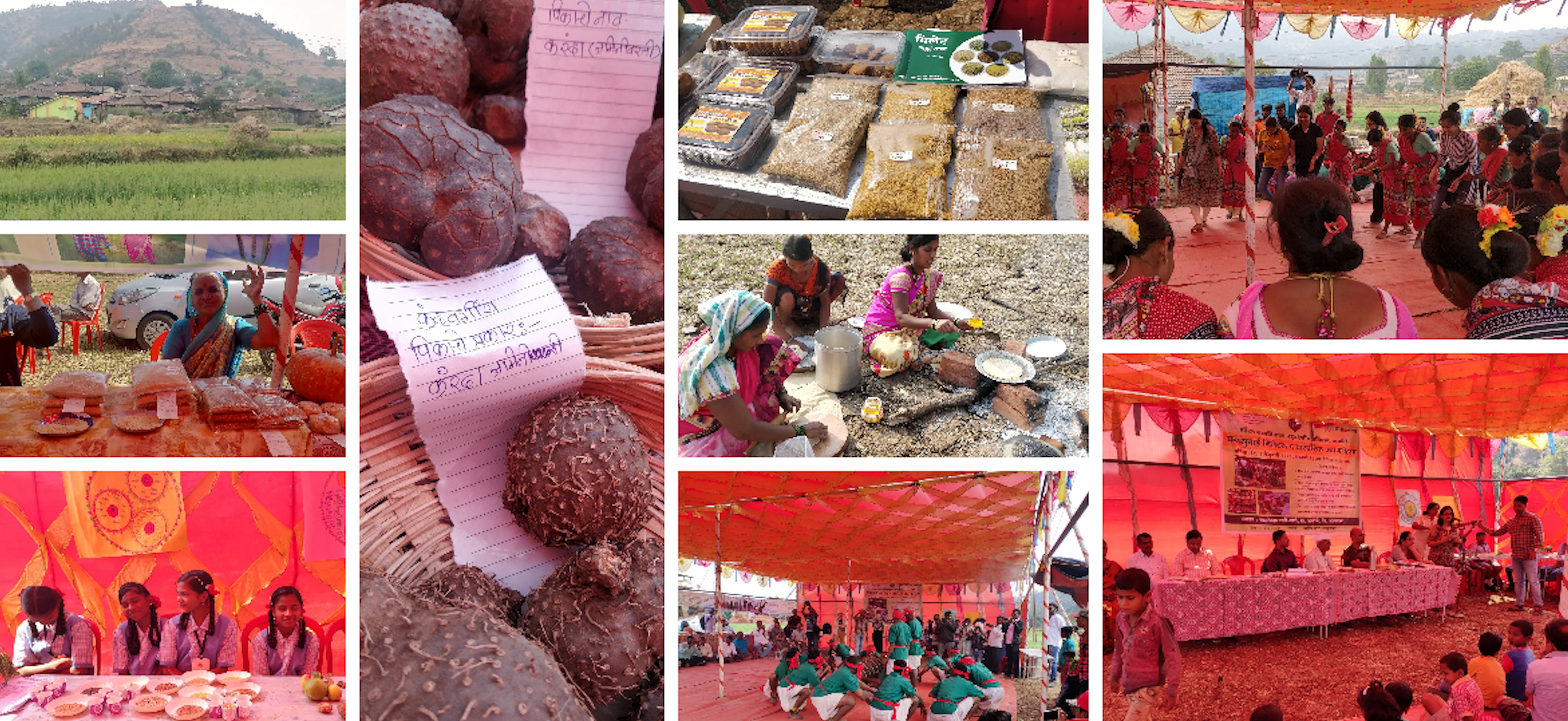 A snapshot of the staggering variety of food and cultural heritage on offer at tribal food festivals