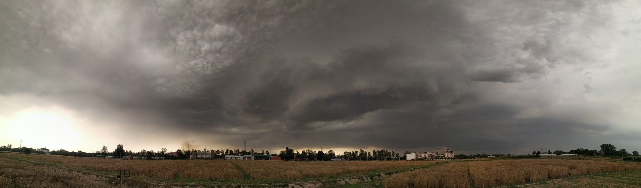 Storm clouds over the trials grounds at Punjab Agricultural University