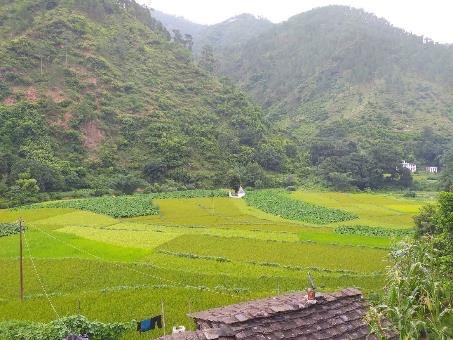 Mangalta village, an area planted with diverse traditional crops